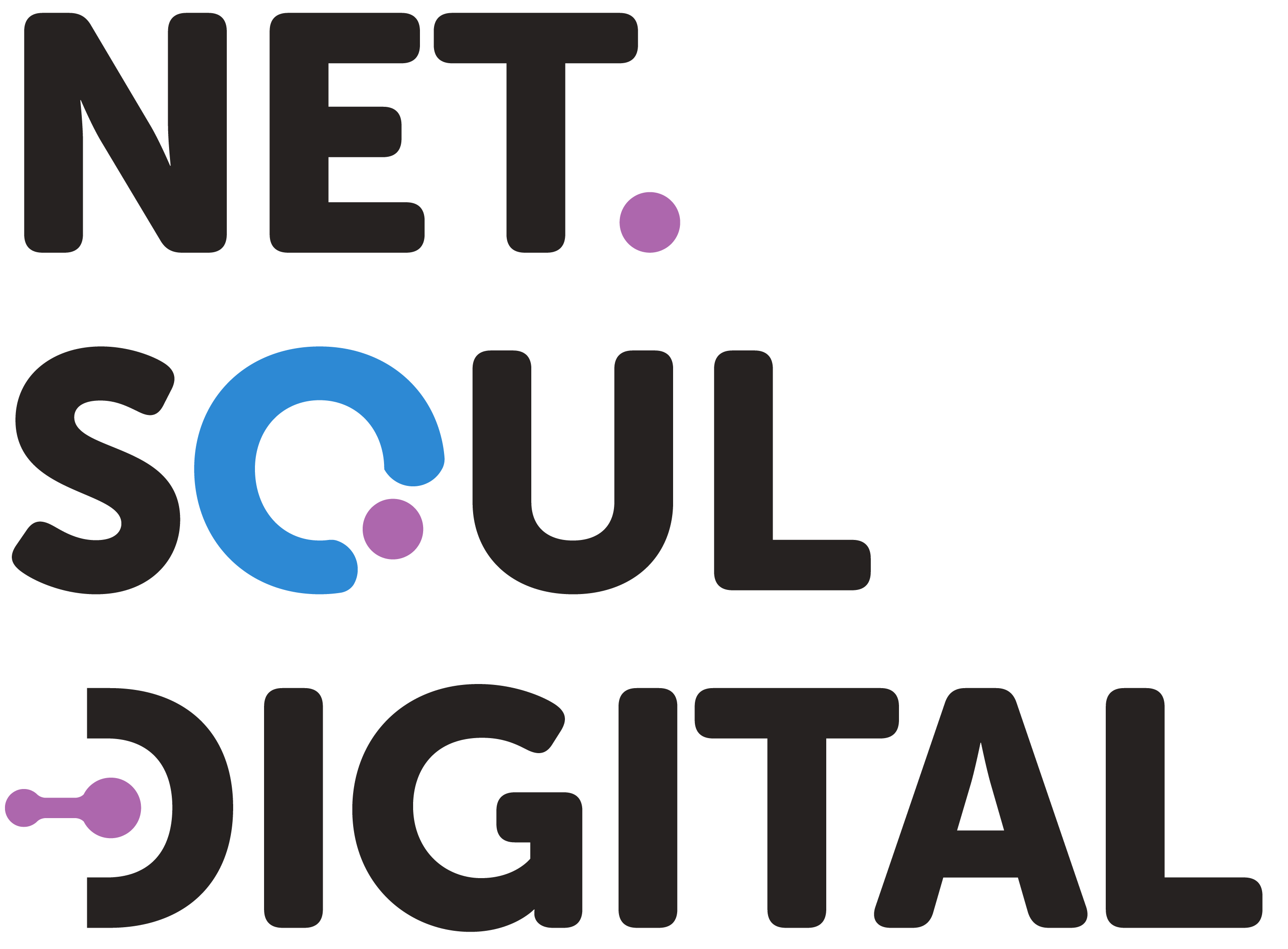NetSoul Digital logo for website design services in Halifax